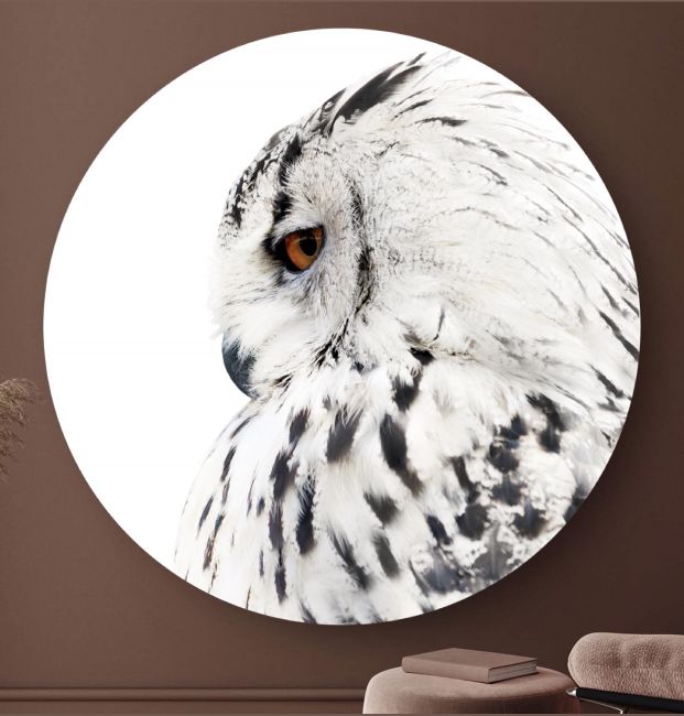Owl - Wandcirkel