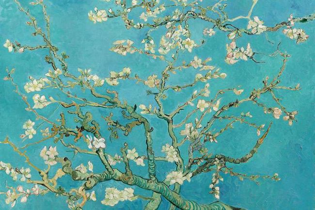 Bloeiende amandelbloesem tak tegen een heldere blauwe achtergrond, klassieke bloemenschilderkunst wanddecoratie.
