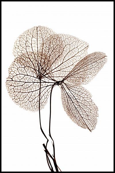 Beige Leaf II Poster