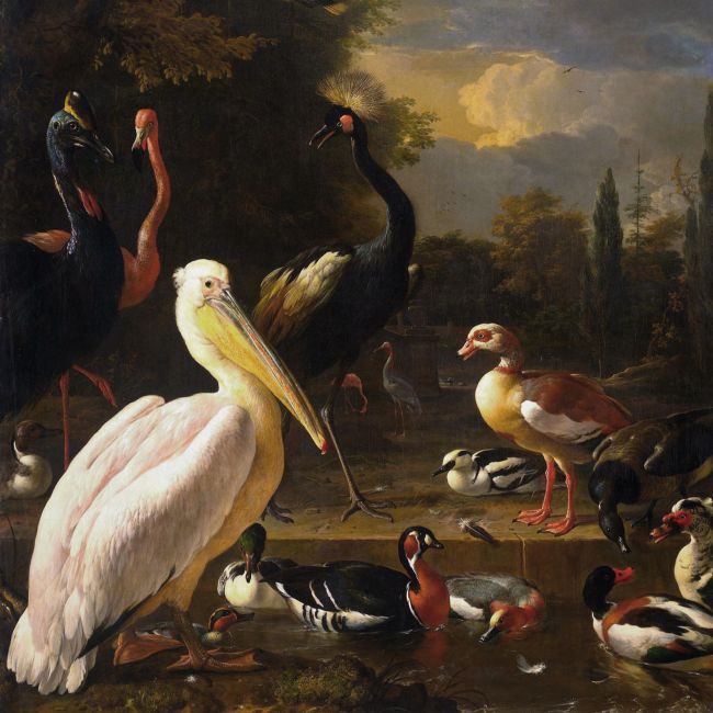 Het Drijvend Veertje - Melchior d' Hondecoeter