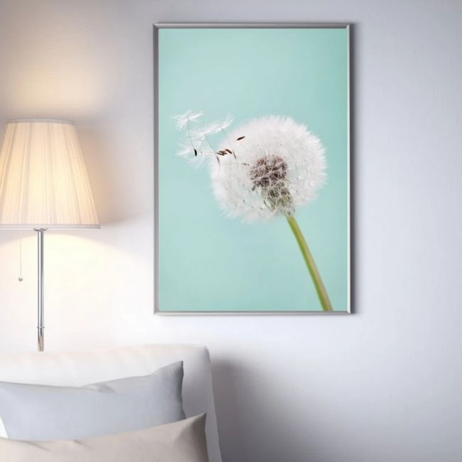 Paardenbloem