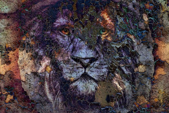 Lion's Den