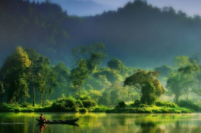 Painting of Nature