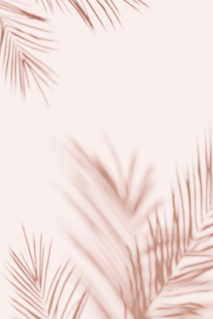 Pink Palm III Poster