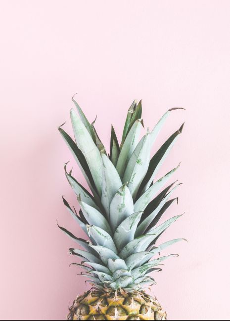 Pink Pineapple Poster