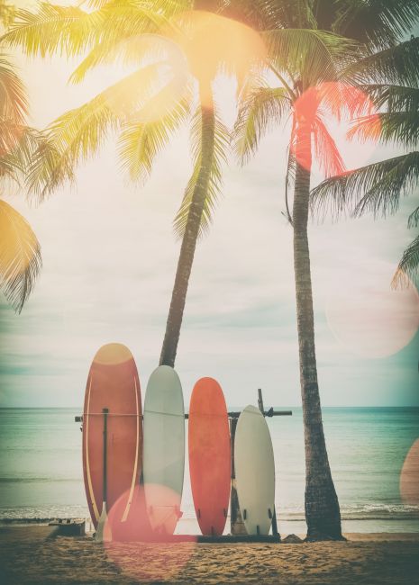 Surfboards on the Beach Poster