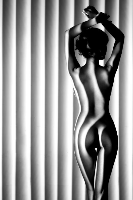 The Shutter Lady