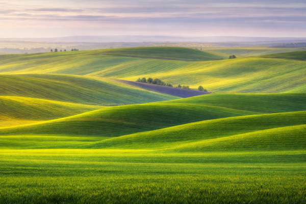 Glooiende groene heuvels landschap minimalistische natuur wanddecoratie rustige groene muurkunst