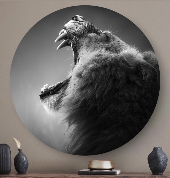 Roar - Wandcirkel