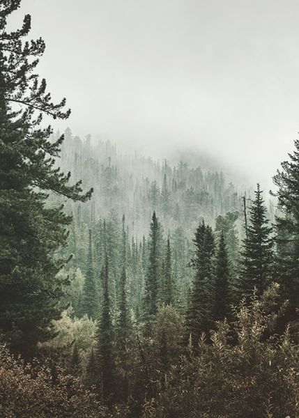 The Forest II Poster
