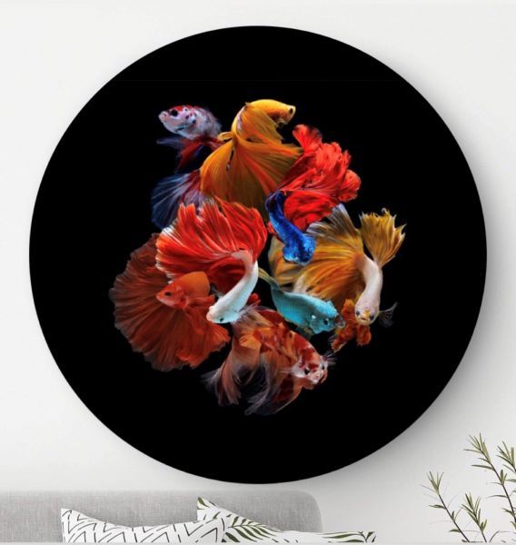Fish Party - Wandcirkel