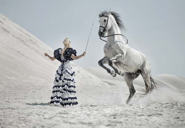 The White Beauty I