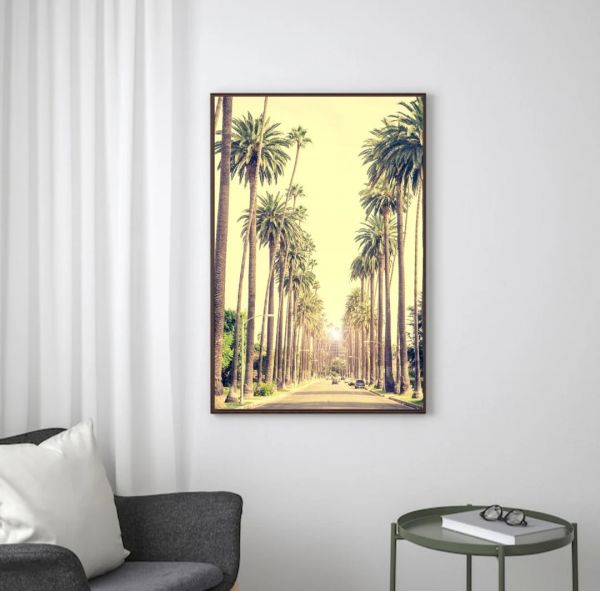 Palm Trees II