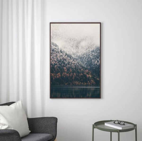 Misty Forest
