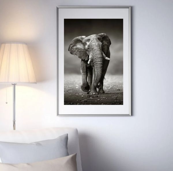 Running Elephant