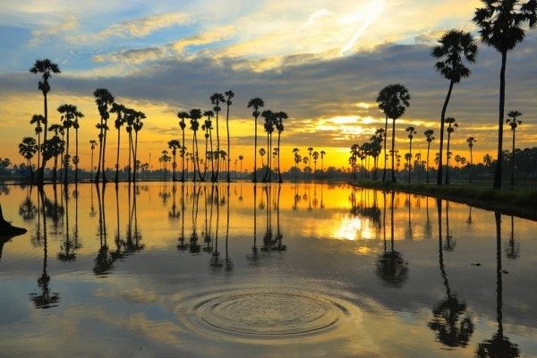 Reflecting Waters