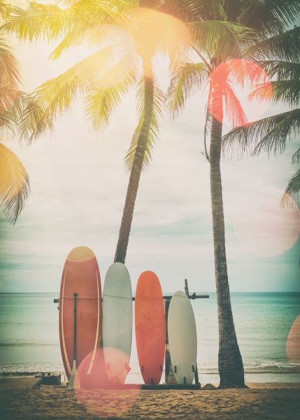 Surfboards on the Beach Poster