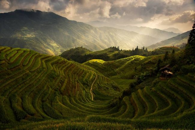 A Tuscan Feel In China