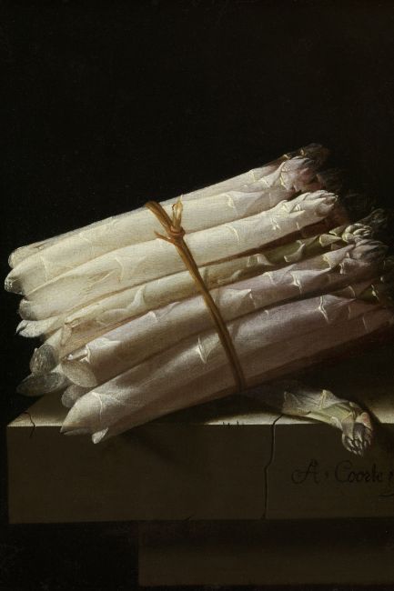 Stilleven met Asperges - Adriaen Coorte