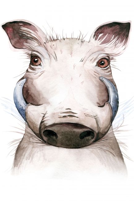 Baby Pig