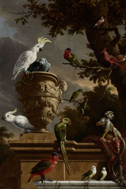 De Menagerie - Melchior d' Hondecoeter