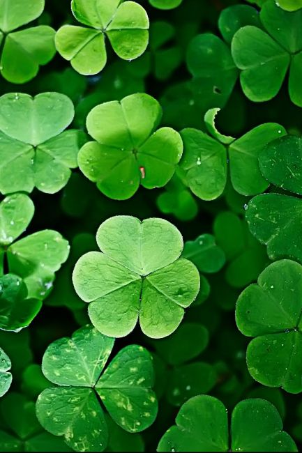 Give Me Luck Poster