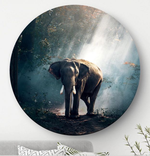Olifant Jungle - Wandcirkel