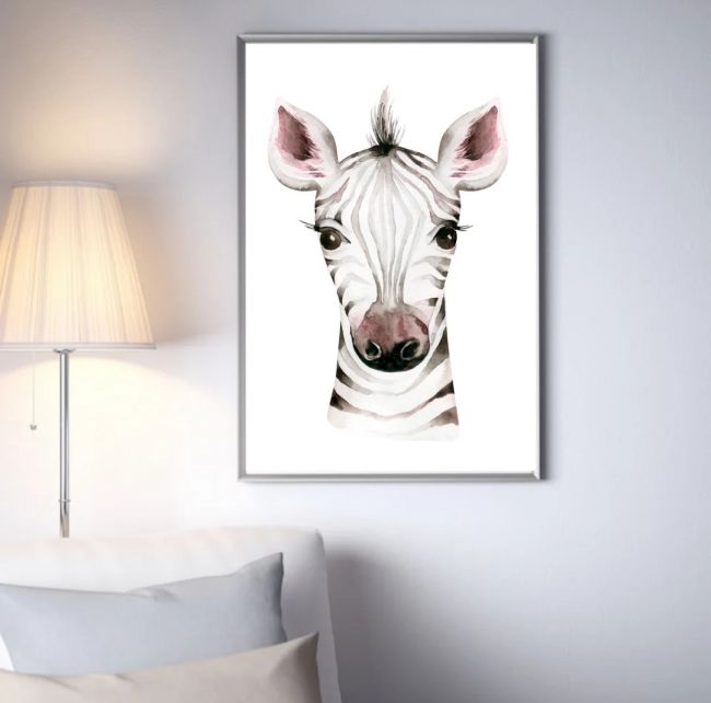 Baby Zebra