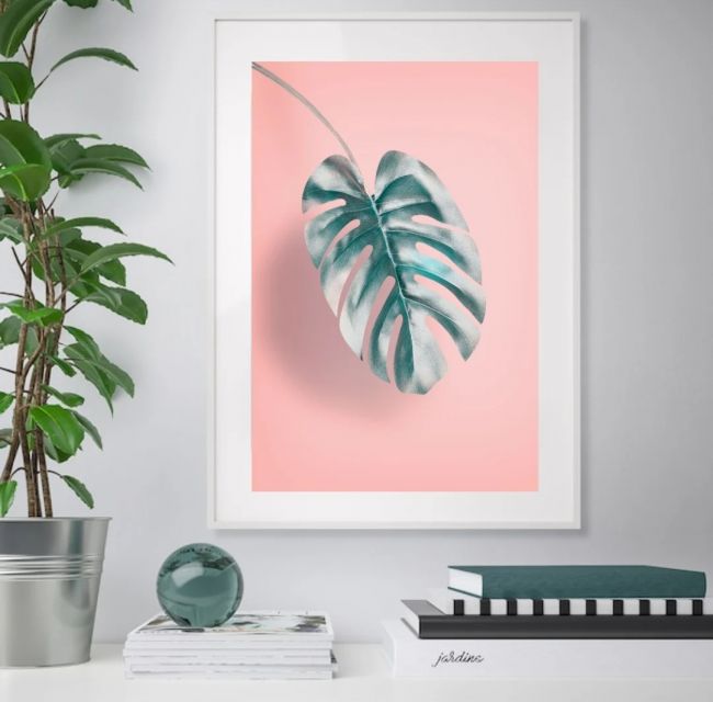 Pink Palm