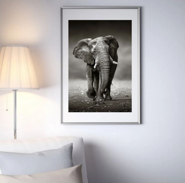 Running Elephant