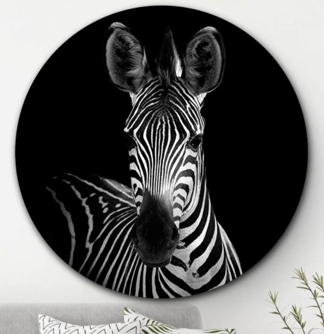Zebra - Wandcirkel