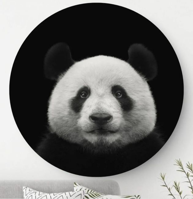 Panda - Wandcirkel