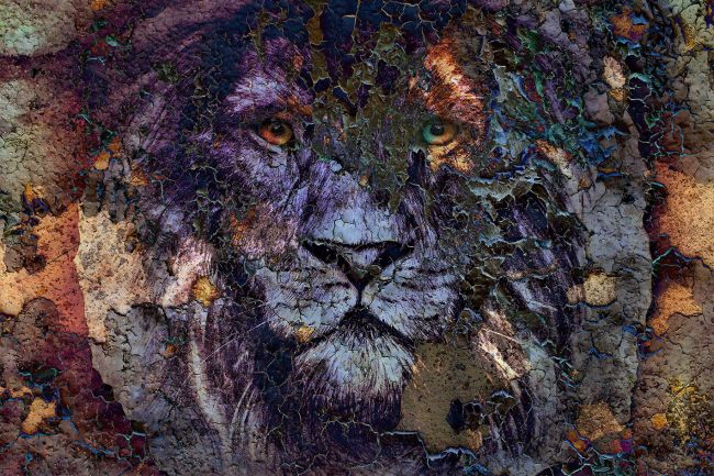 Lion's Den