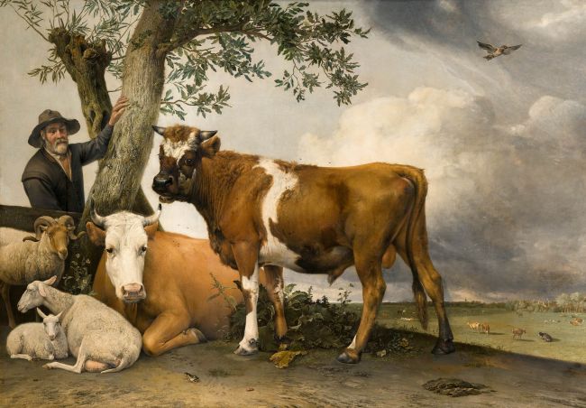 De Stier - Paulus Potter
