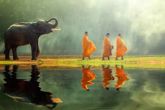 Reflection
