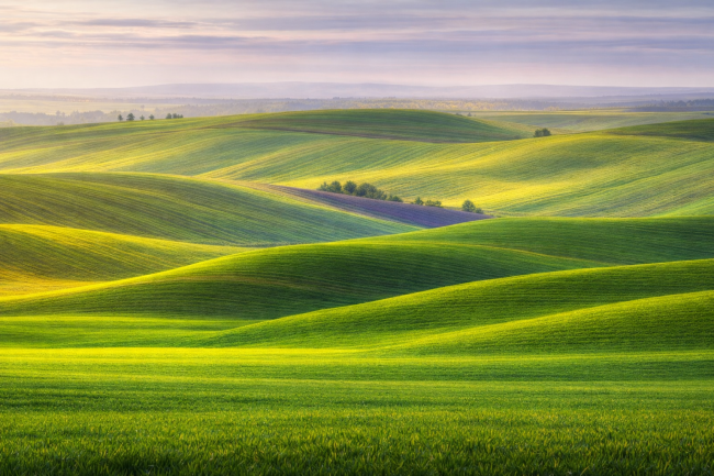 Rolling Hills