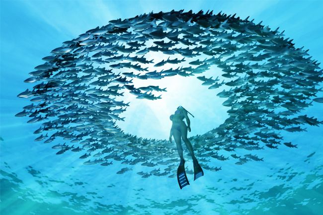 The Circle Of Life
