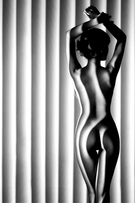 The Shutter Lady