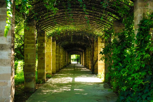 Tunnel Of Nature