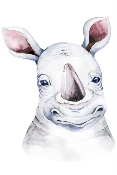 Baby Rhino