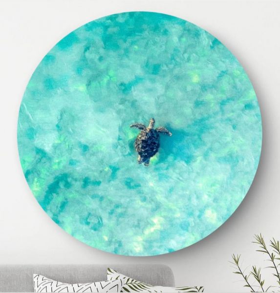 Turtle - Wandcirkel