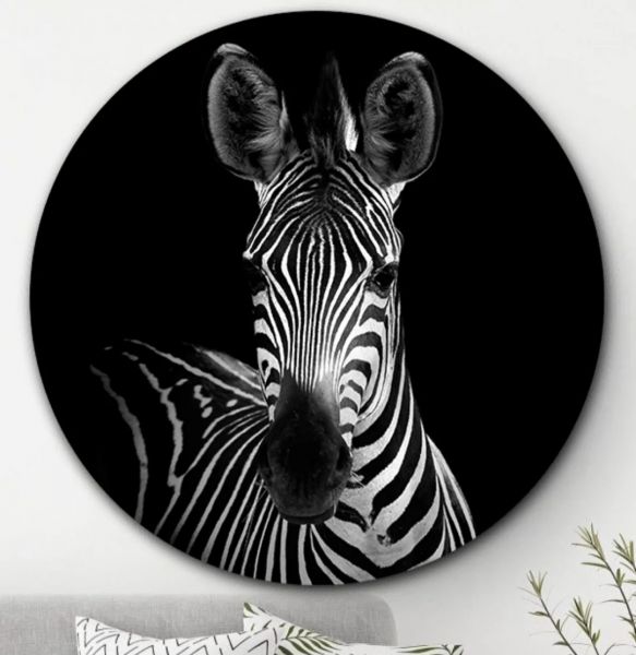 Zebra - Wandcirkel