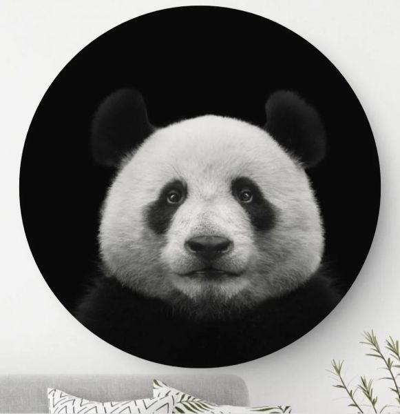 Panda - Wandcirkel