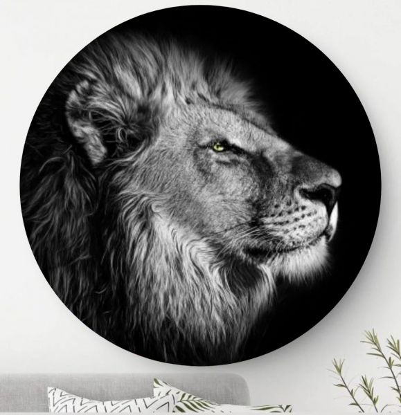 Leeuw - Wandcirkel