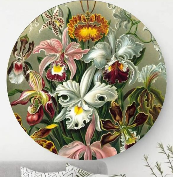 Orchidee - Wandcirkel