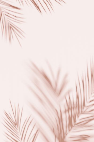 Pink Palm III Poster