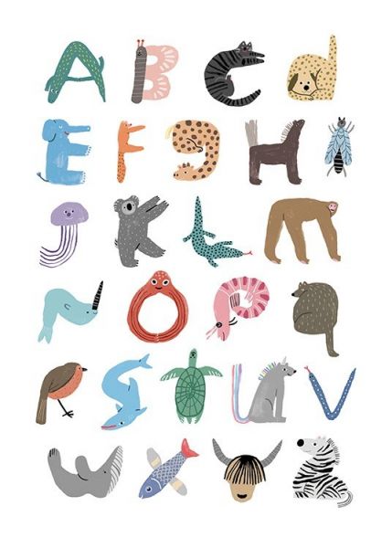 Alphabet of Animals Poster